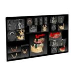 Quickvision 3D – Logiciel de planification implantaire OWANDY